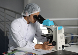 Dextran GMP 